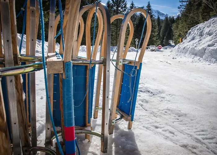 シャレー Riesner Alpenlodge *